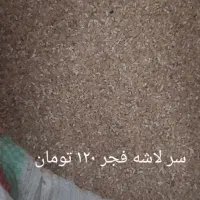 فروش نیم دانه و سر لاشه برنج فجر