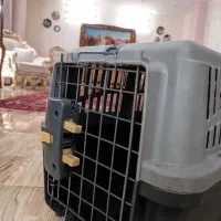 باکس سگ وگربه