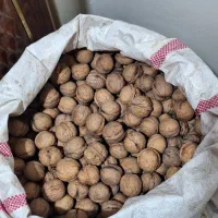 گردوی تویسرکان به شرط