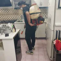 سم پاشی  سوسک ساس پشه کلیه حشرات
