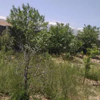 باغ-2000-متری-کنجینه-ارم-1