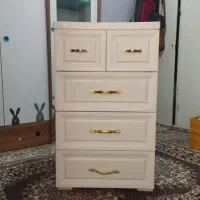 دلاور همه کاره