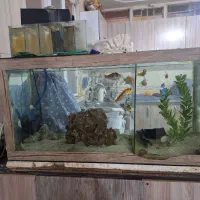 اکواریوم با تمام وسایل