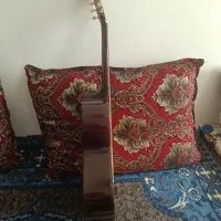 گیتار کلاسیک|گیتار، بیس، امپلیفایر|ماکو, |دیوار