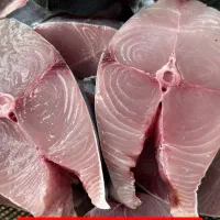 ماهی و میگو بندر