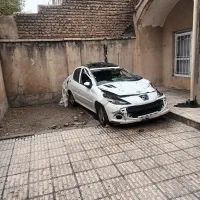 ۲۰۷ پانا تصادفی