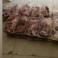 ذبح دام// گوسفند//گوساله زنده|حیوانات مزرعه|رودهن, |دیوار