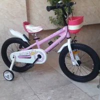 دوچرخه دخترانه برند قناری سایز 16