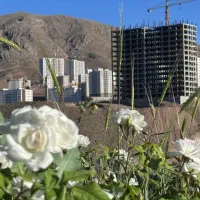 آپارتمان-44-متری-رزمندگان-گلستان