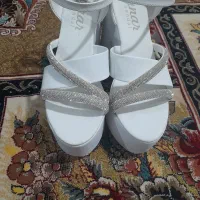 کفش مجلسی|کیف، کفش، کمربند|قم, شهر قائم|دیوار