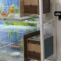 لونه درحدنو