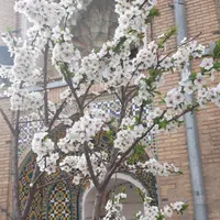 اجاره آپارتمان ۶۰ متری