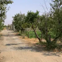 زمین باغچه ۵۰۰متری