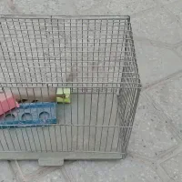 قفس طوطی ،قفس پرنده، اکواریوم|لوازم جانبی حیوانات|شهرضا, |دیوار