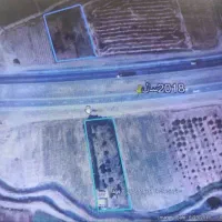 ۱۹۰۰ متر باغ ابتدای کمربندی کنگاور ،زیر قیمت ایران|فروش دفتر صنعتی، کشاورزی، تجاری|کنگاور, |دیوار