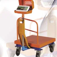باسکول برند بی نظیر ۶۰۰ کیلویی