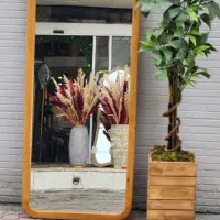 آینه قدی چوبی|آینه|اهواز, آسیاباد|دیوار