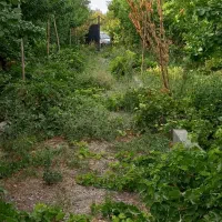 فروش باغ تهاتر با واحد و خودرو|فروش زمین و ملک کلنگی|رباطکریم, منجیل آباد|دیوار