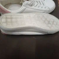 کفش اسپورت در حد نو و نو|کیف، کفش، کمربند|شیراز, سعدیه شمالی|دیوار