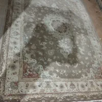 قالی ۱۲متری و۹متری و۶متری|فرش|یزد, |دیوار