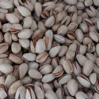 پسته  طلای سبز دامغان|خوردنی و آشامیدنی|ری, جوانمرد قصاب|دیوار