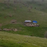 فروش سیاه چادر