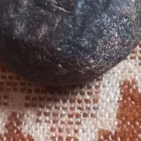 شهابسنگ سنگی اهنی|جواهرات|سنقر, |دیوار