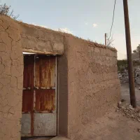 باغ فروشی (راین )