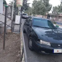 سیلوو ۸۱