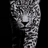 تابلوئه سیاه قلم