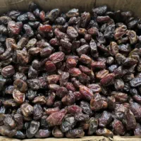 فروش خرما دشتستان|خوردنی و آشامیدنی|شیراز, شهرک امیر کبیر|دیوار