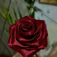 گل رز روبانی|گل مصنوعی|پردیس, فاز ۲|دیوار