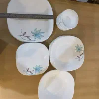 سرویس غذاخوری آرکوپال اسپانیا|ظروف سرو و پذیرایی|شیراز, آبیاری|دیوار