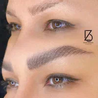 پذیرای مدل میکروبلیدینگ ابرو،شید چشم و لب ،رایگان