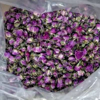 غنچه گل محمدی