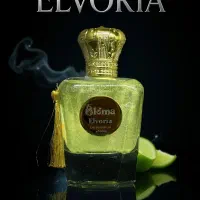 لوکس ترین هدیه روز مادر|آرایشی، بهداشتی، درمانی|یزد, |دیوار