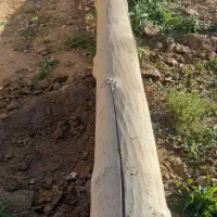 تیر 11 متر