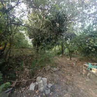 1000مترمربع کامل مسکونی با پروانه امتیازهانصب|فروش زمین و ملک کلنگی|شفت, |دیوار