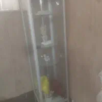 بوفه شیشه ای