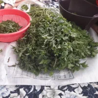 سفارش تهیه انواع سبزی خورشتی، خوراکی، سبزی خشک،|خدمات پذیرایی، مراسم|کرمانشاه, |دیوار