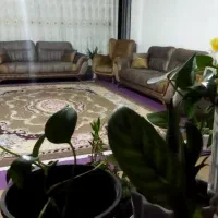 آپارتمان ۱۰۰ متری، ۲ خواب، پارکینگ و آسانسور|اجارهٔ آپارتمان|اهواز, سپیدار|دیوار
