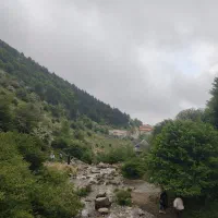 فروش زمین / فرصت طلایی سودسازی