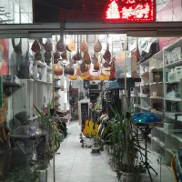 گالری موسیقی شیدا در خدمت هنرمندان عزیز|سازهای سنتی|فیروزآباد (فارس), |دیوار