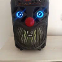 اسپیکر|سیستم صوتی خانگی|آشخانه, |دیوار