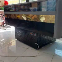 یخچال فریزر|فروشگاه و مغازه|رودهن, |دیوار