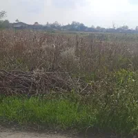 مزرعه‌کشاورزی400متر|فروش دفتر صنعتی، کشاورزی، تجاری|رودسر, |دیوار