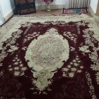 فرش ۱۲ متری کرم زرشکی|فرش|ساری, |دیوار