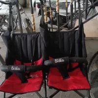 کالسکه دوقلو سالم