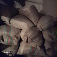 برنج طارم|عمده‌فروشی|چرام, |دیوار