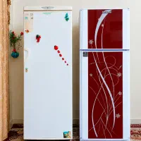 دوتا یخچال فریزر پارس نو سرمایش دهی عالی